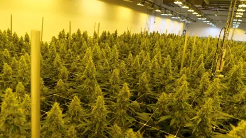Dispensary WI Dells
