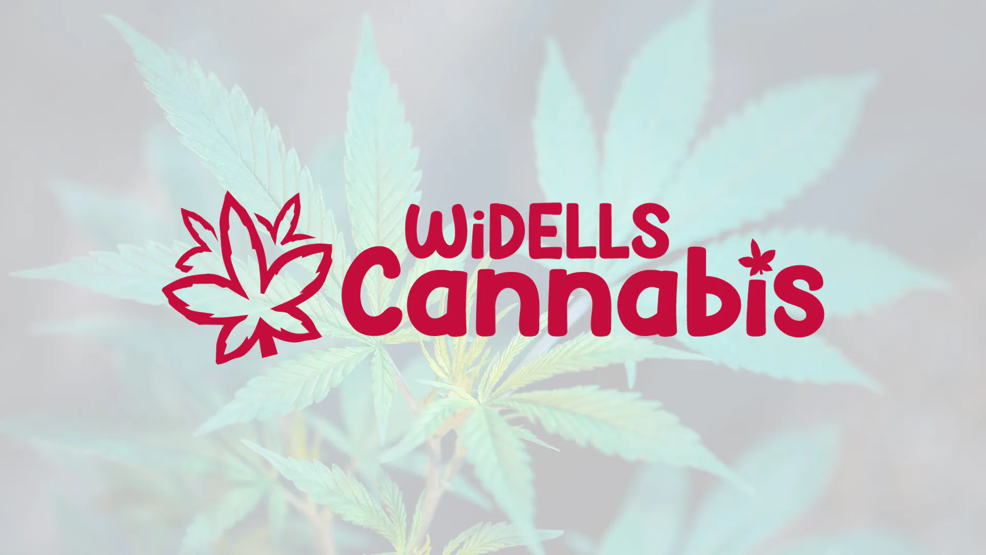 Dispensary WI Dells